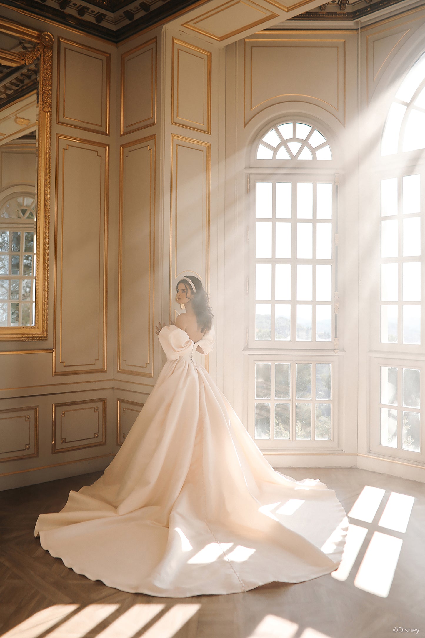 D432 - Belle
