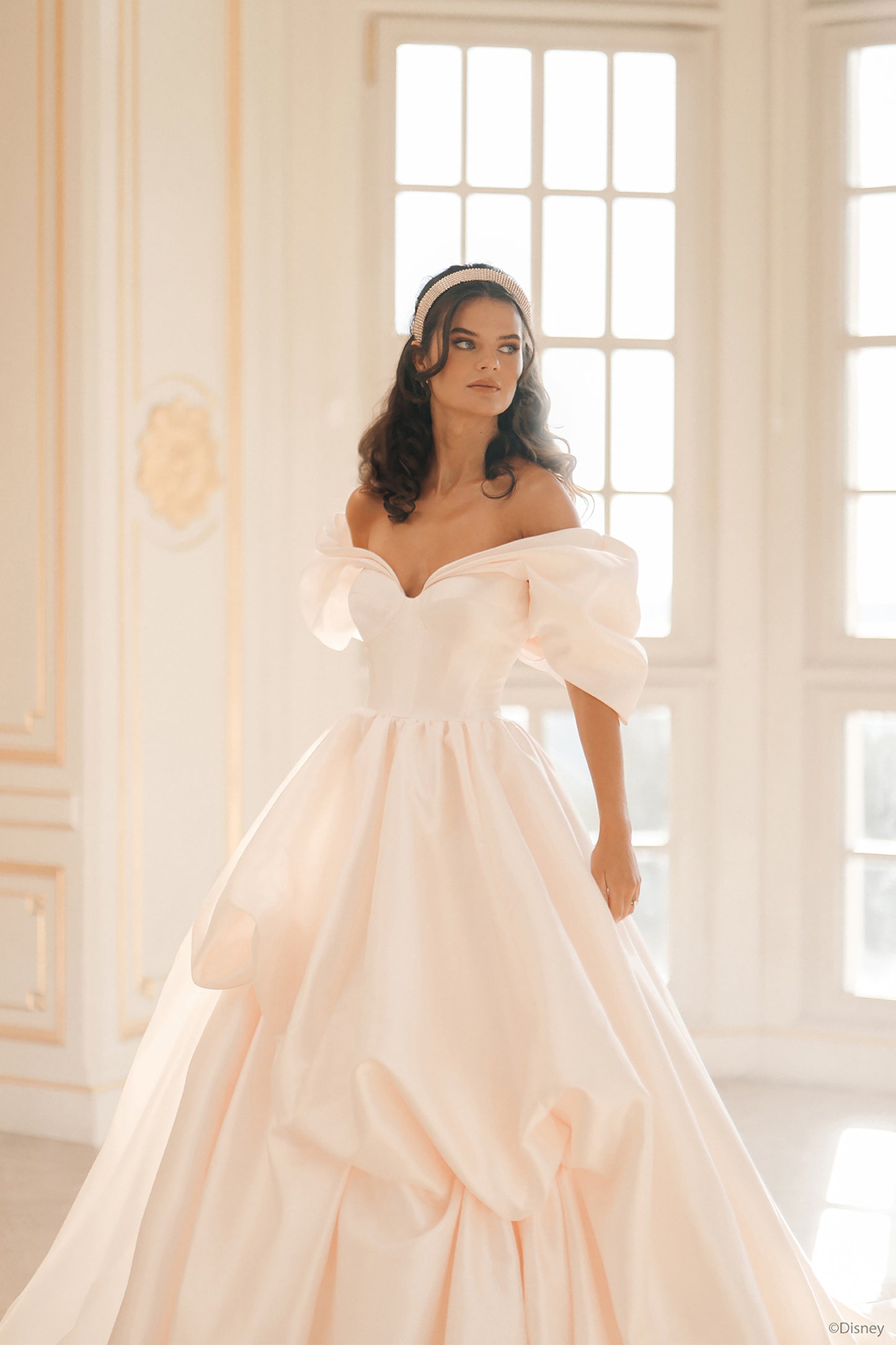 D432 - Belle