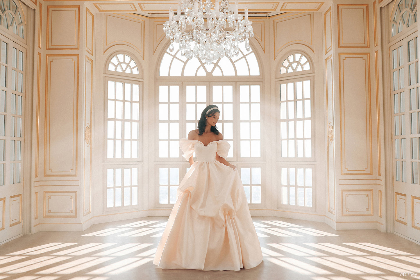 D432 - Belle