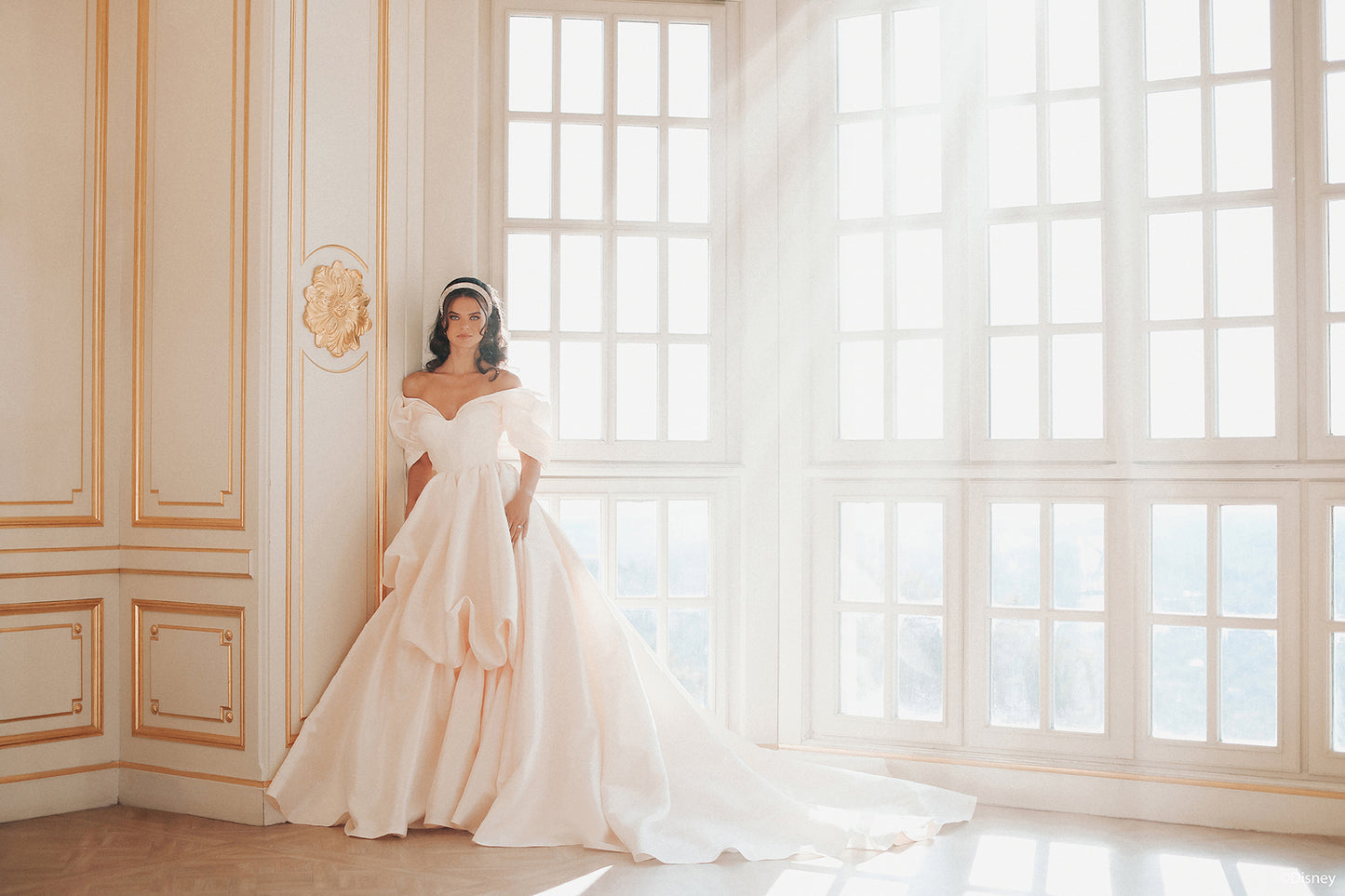 D432 - Belle