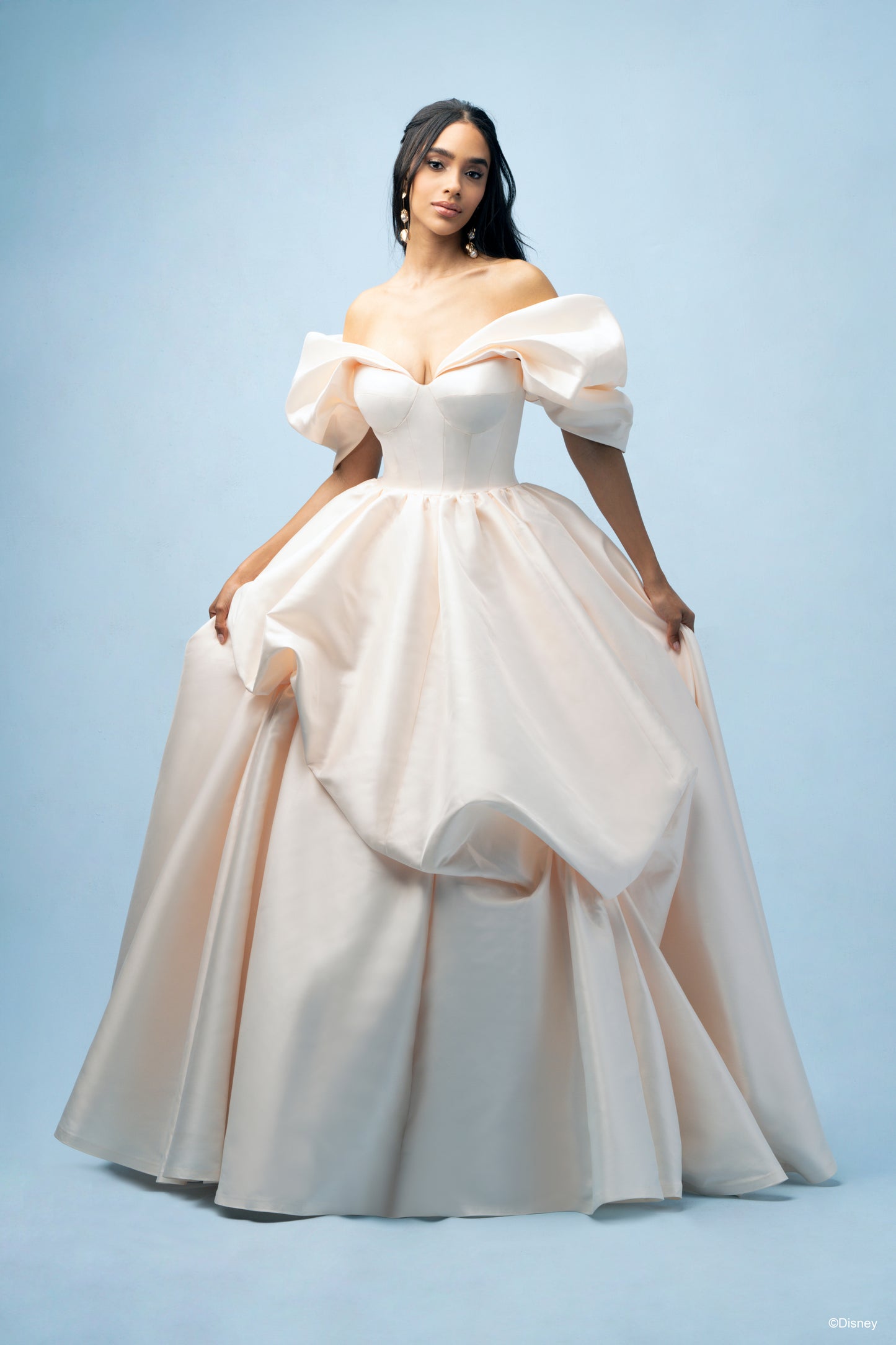 D432 - Belle