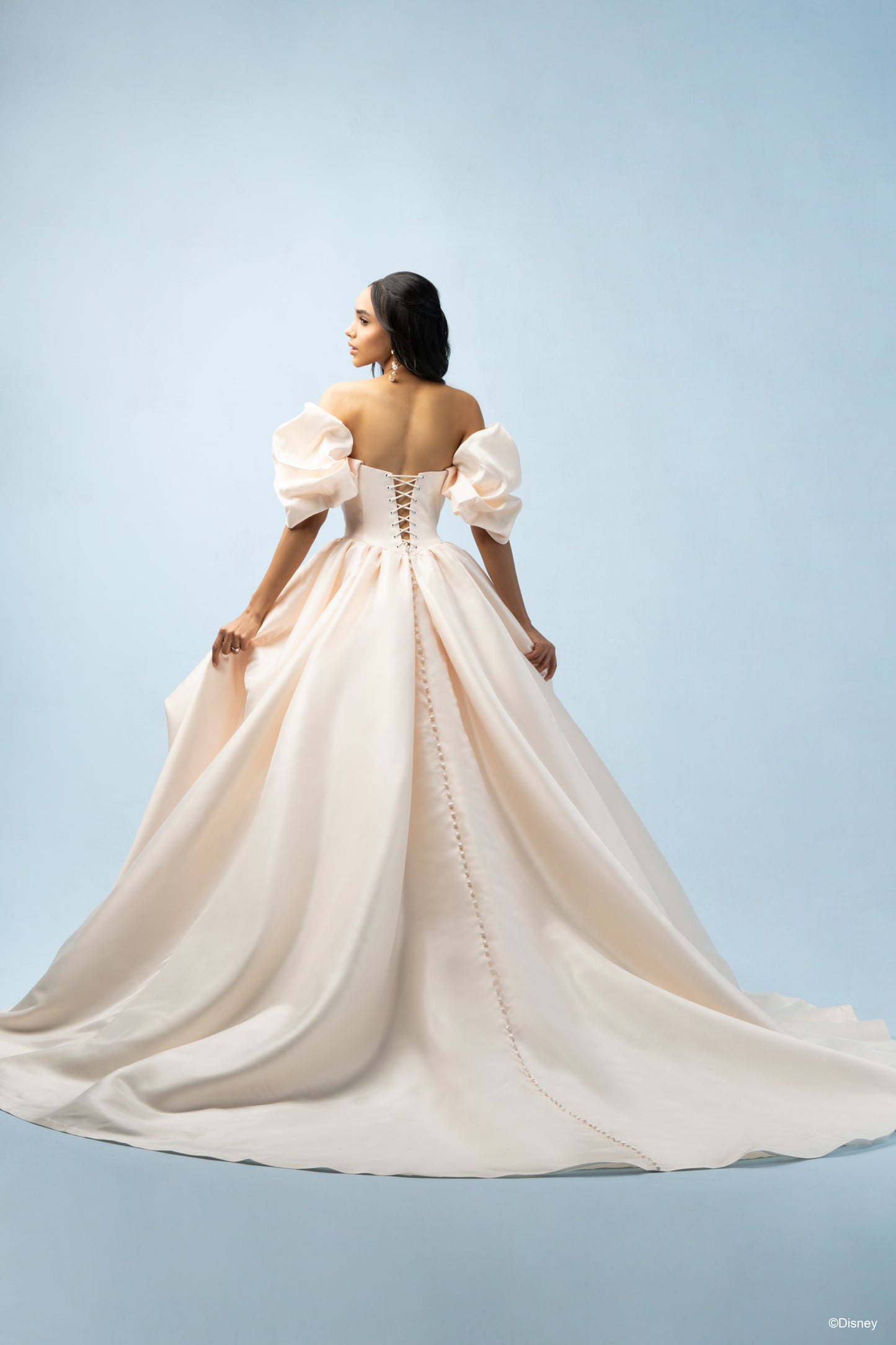 D432 - Belle
