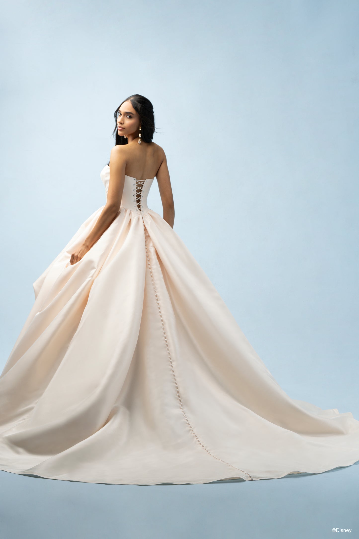 D432 - Belle