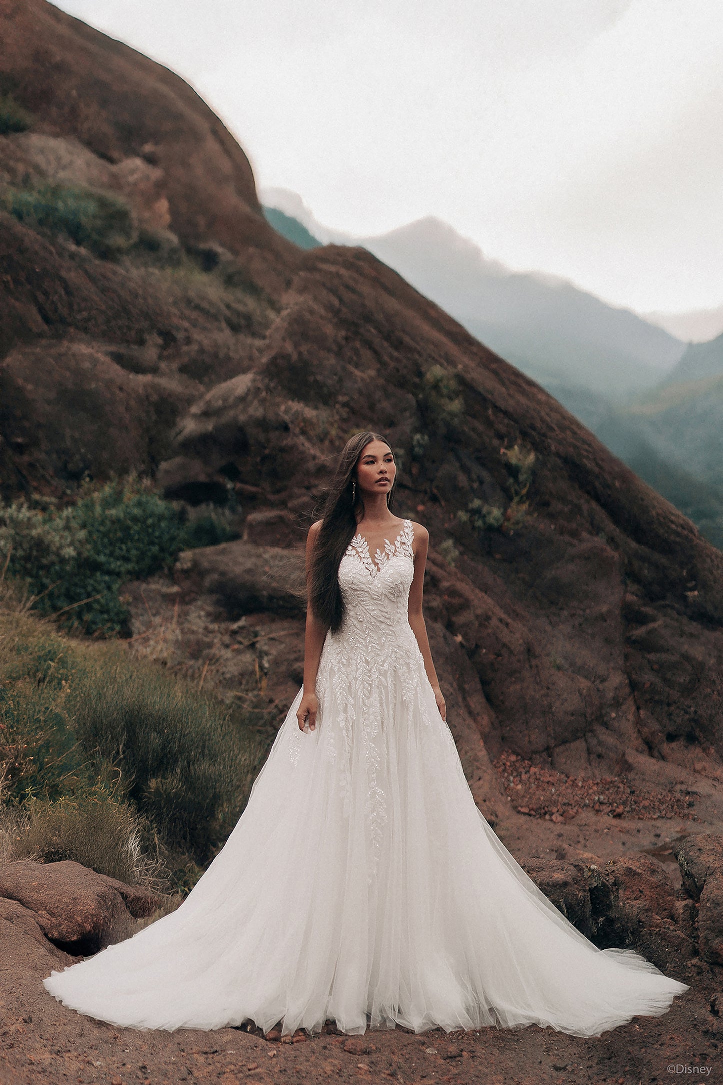 D435 - Pocahontas