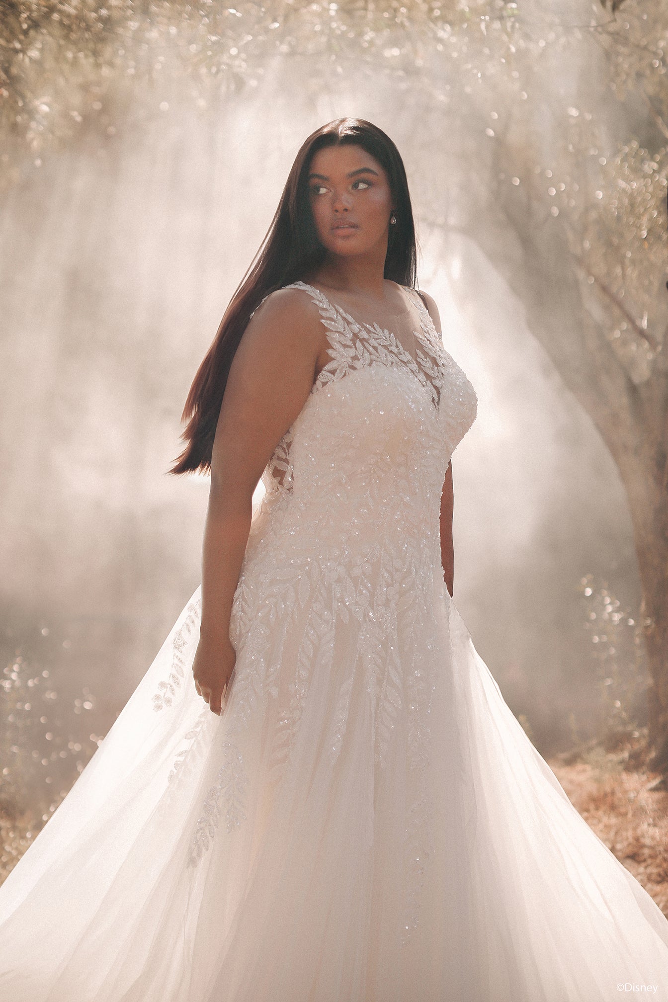 D435 - Pocahontas