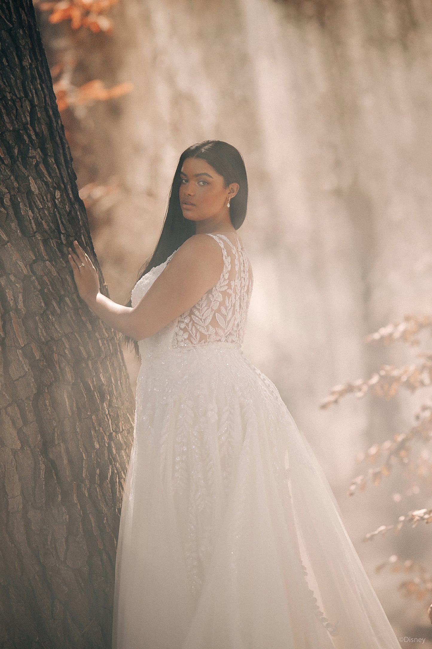 D435 - Pocahontas