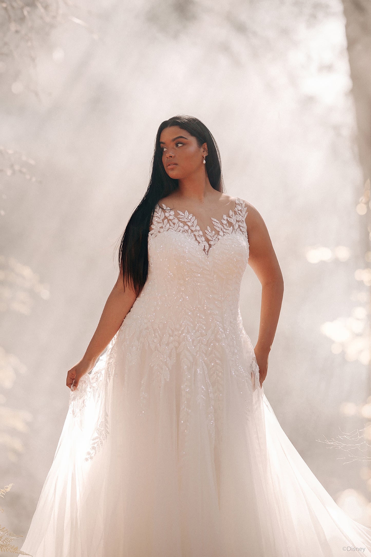 D435 - Pocahontas