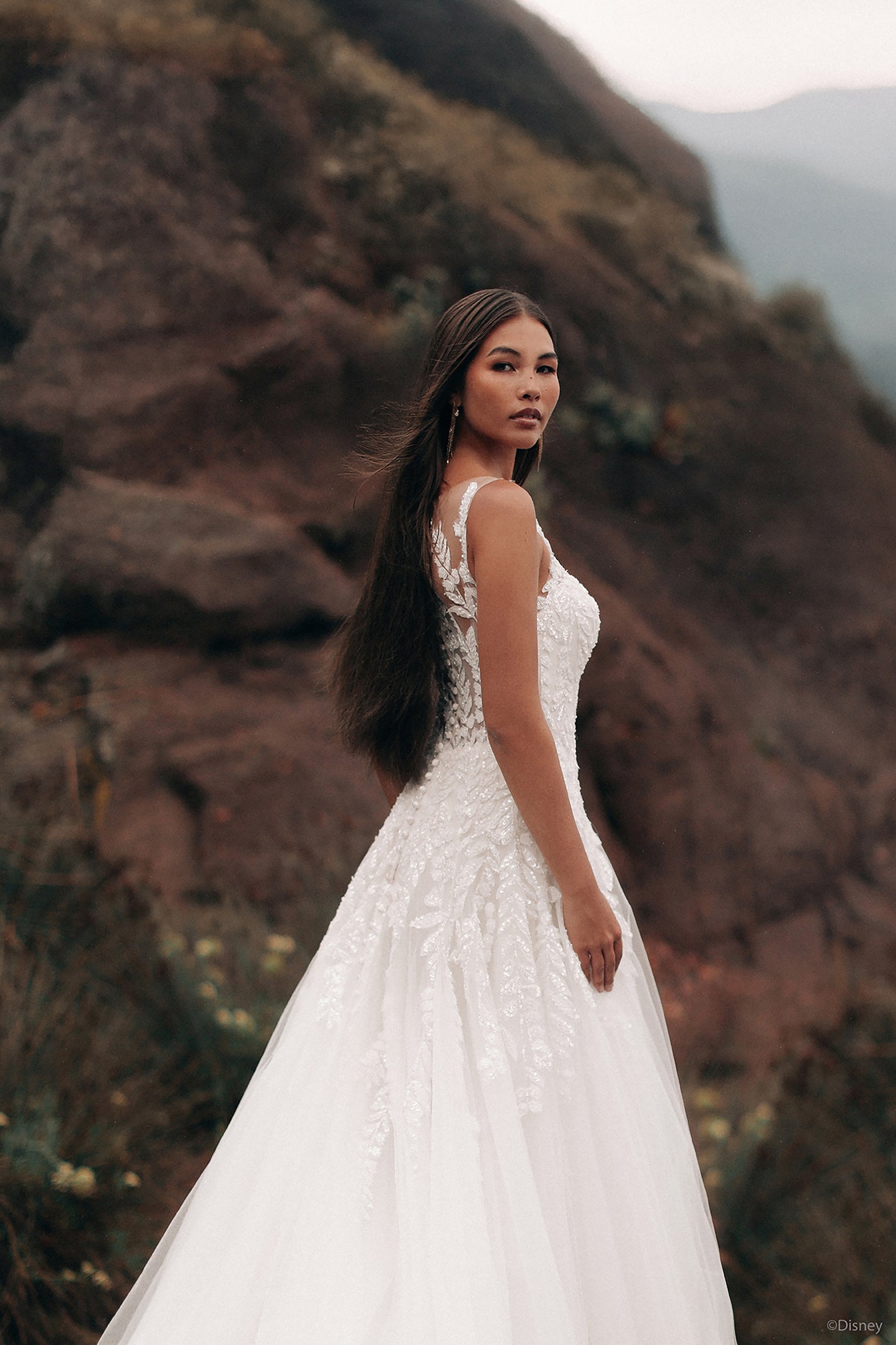 D435 - Pocahontas