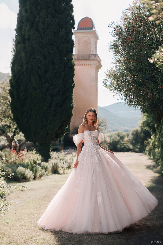 D436 - Rapunzel