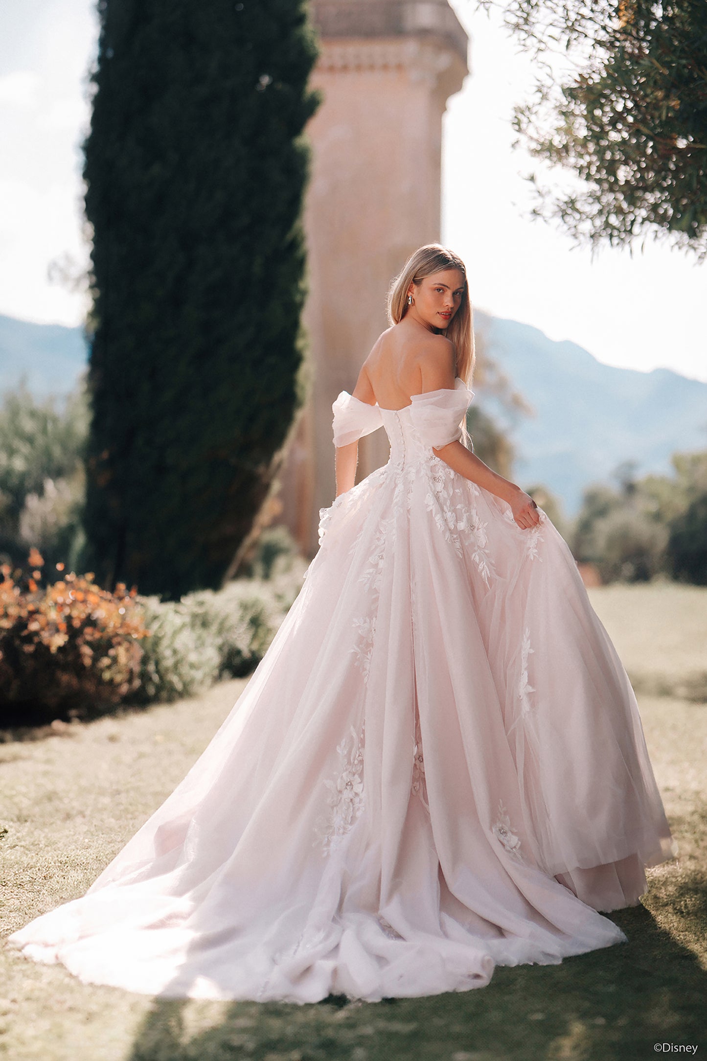 D436 - Rapunzel