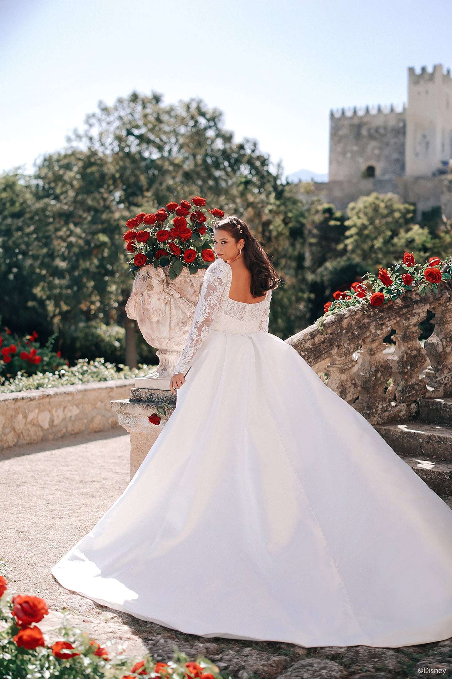 D442 - Belle