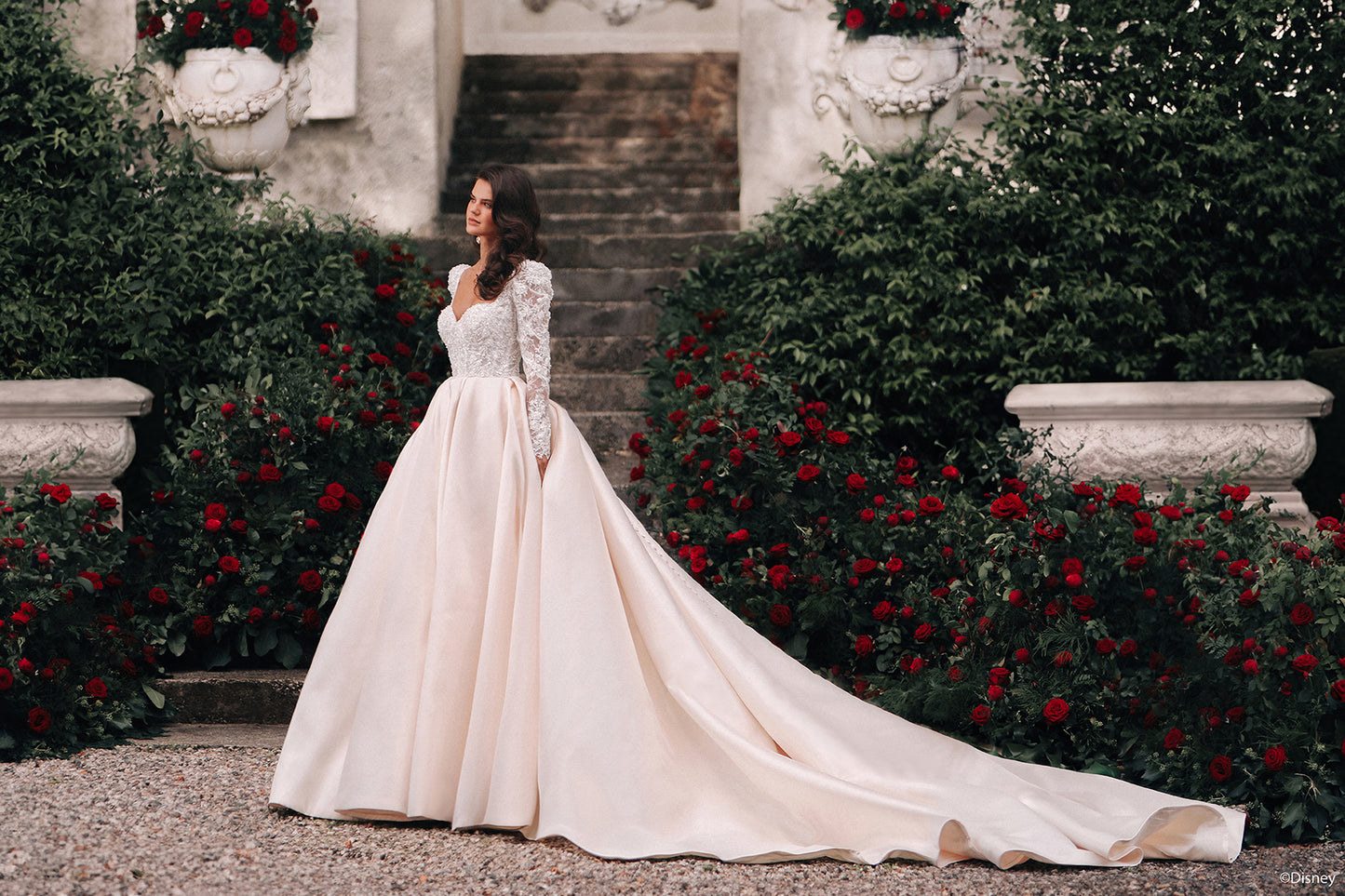 D442 - Belle