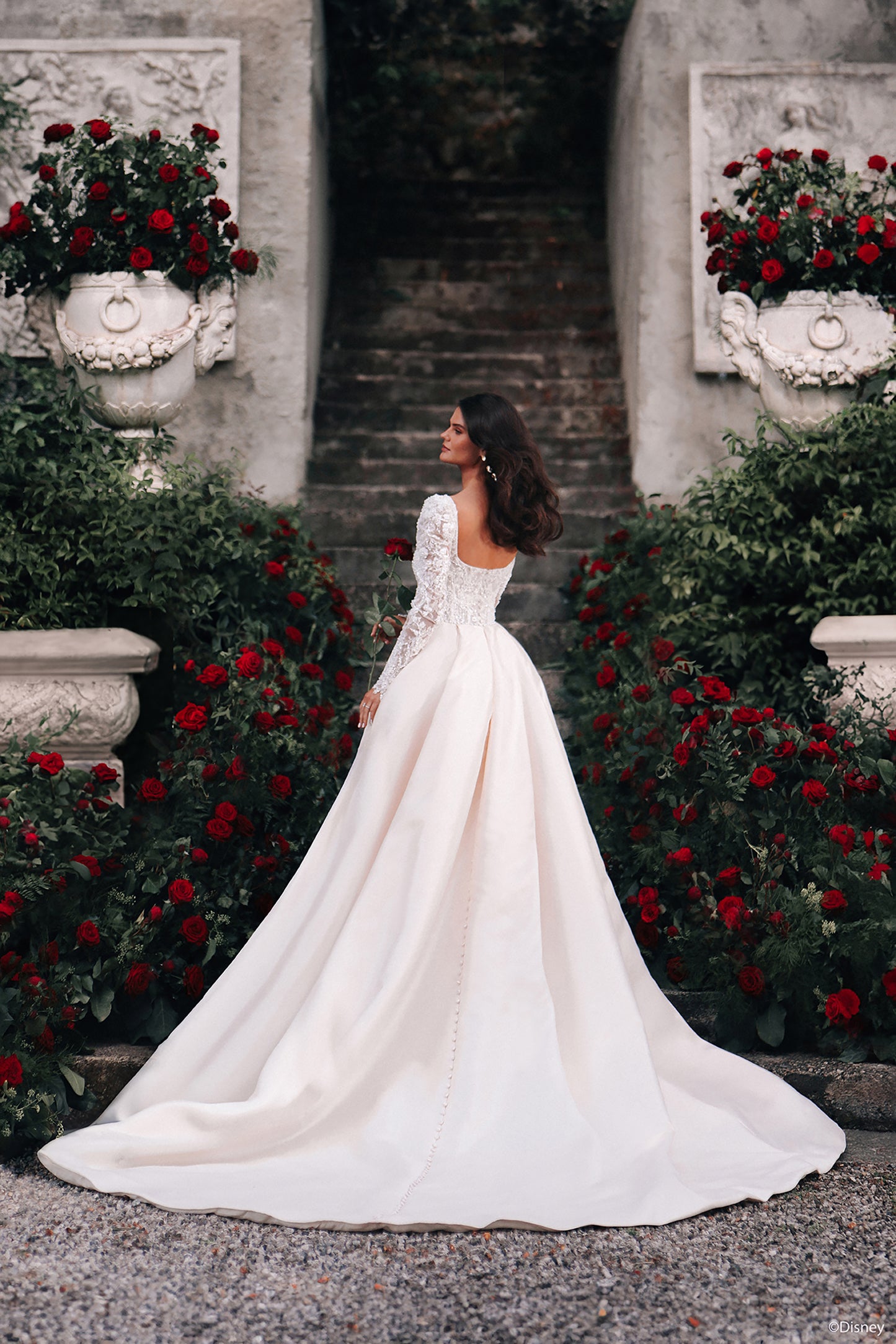 D442 - Belle