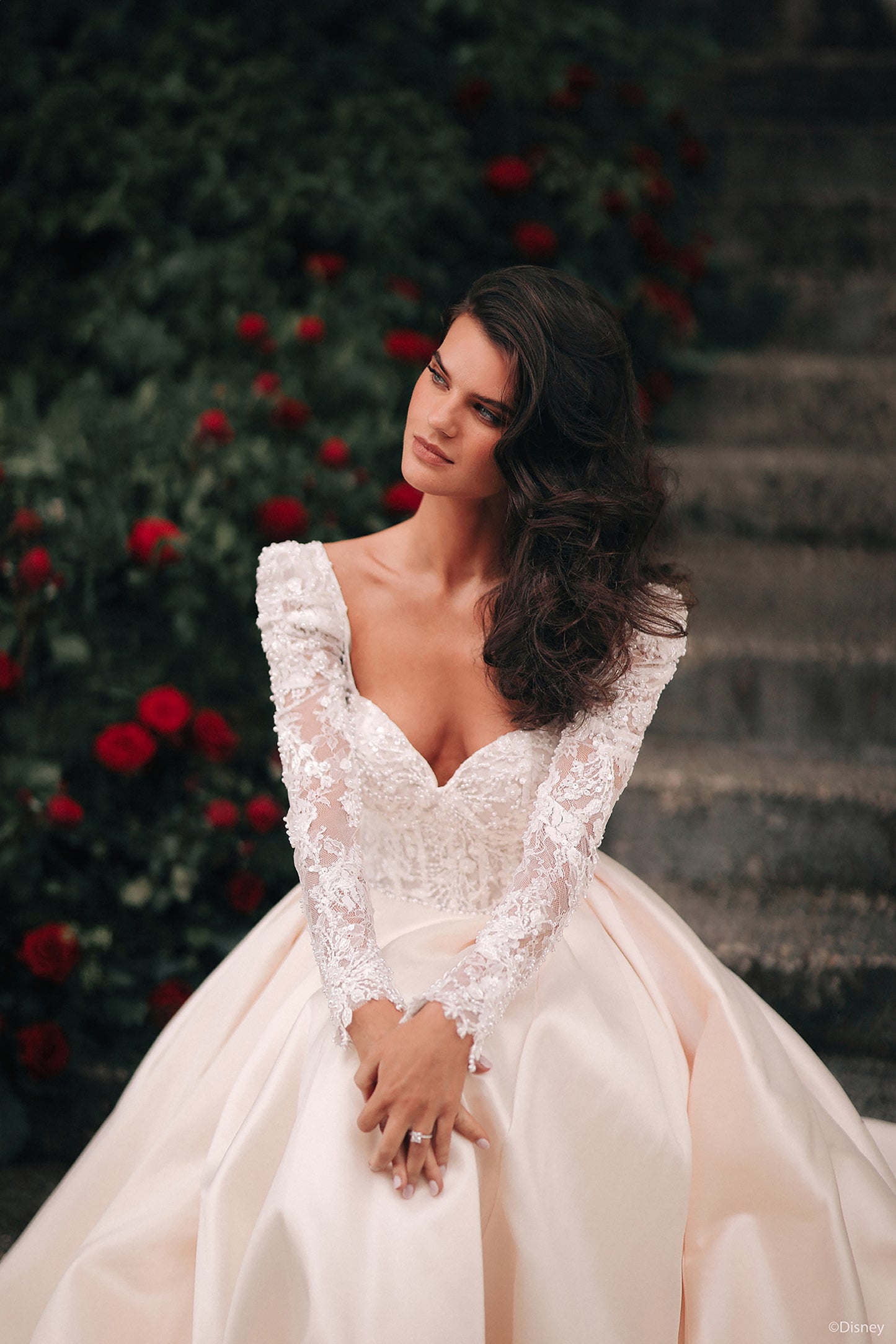 D442 - Belle