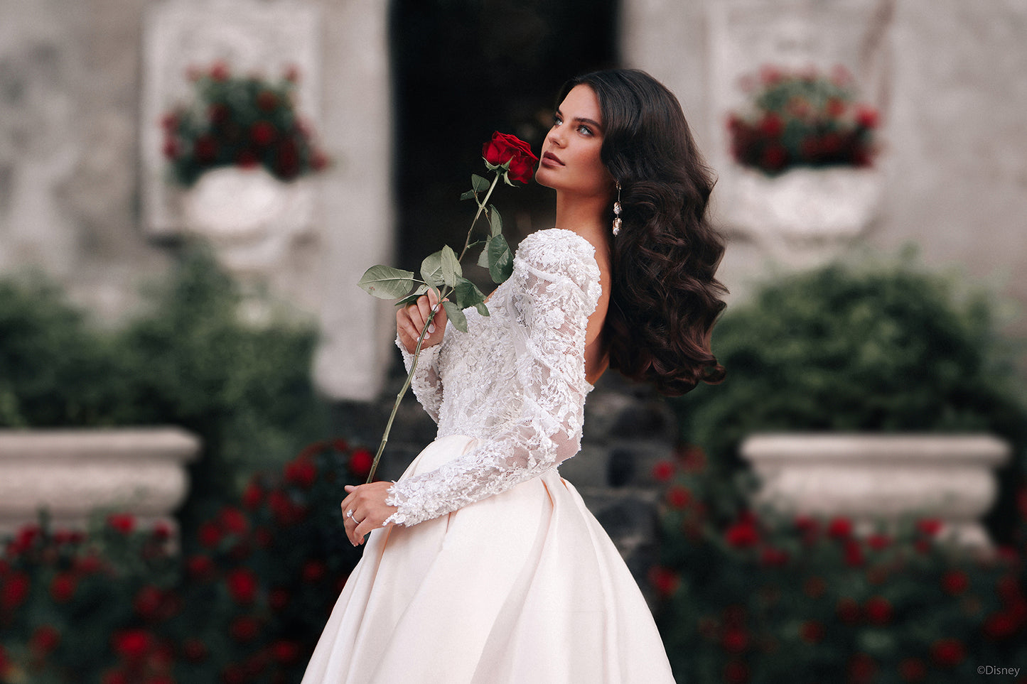 D442 - Belle