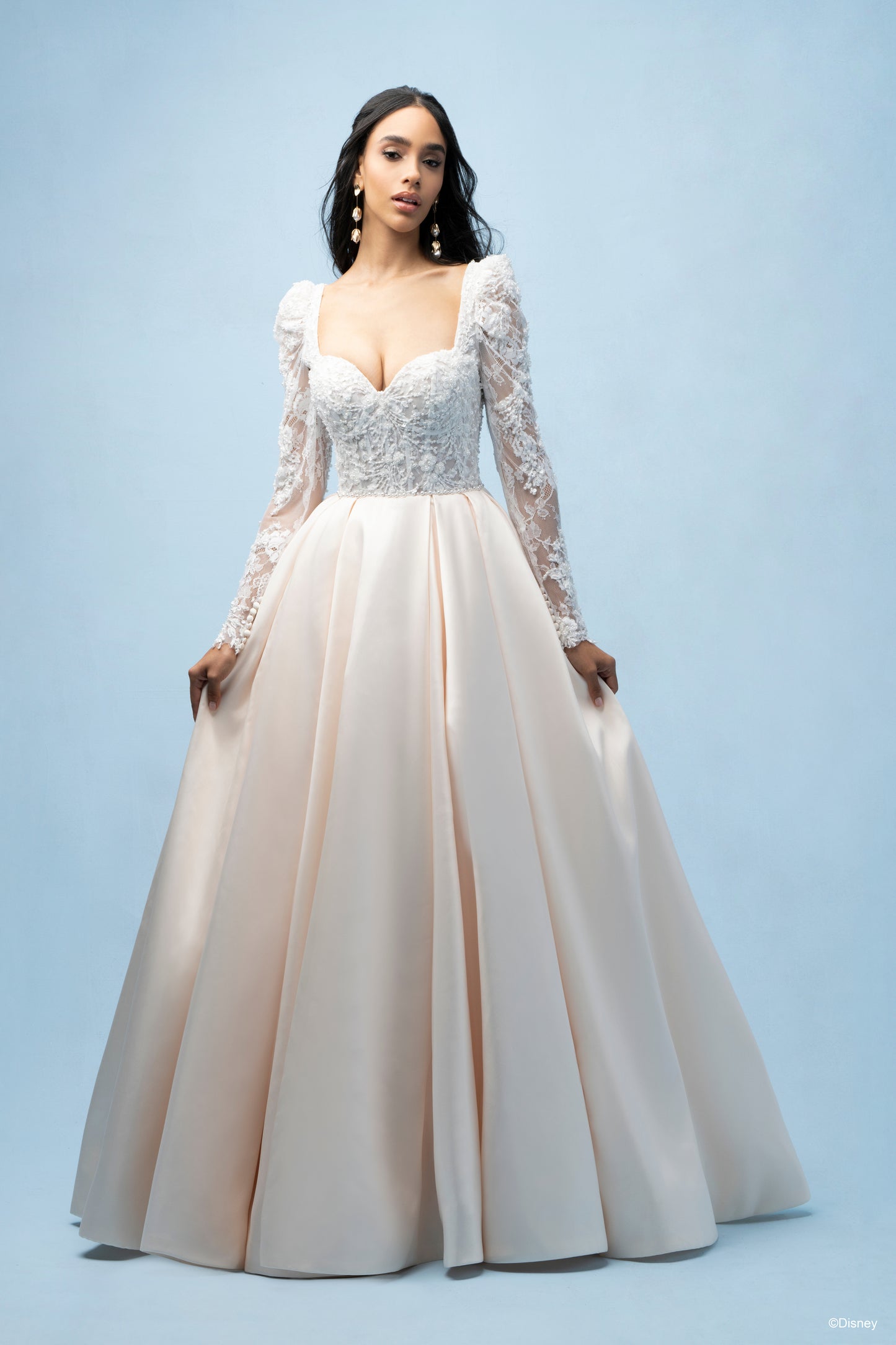 D442 - Belle