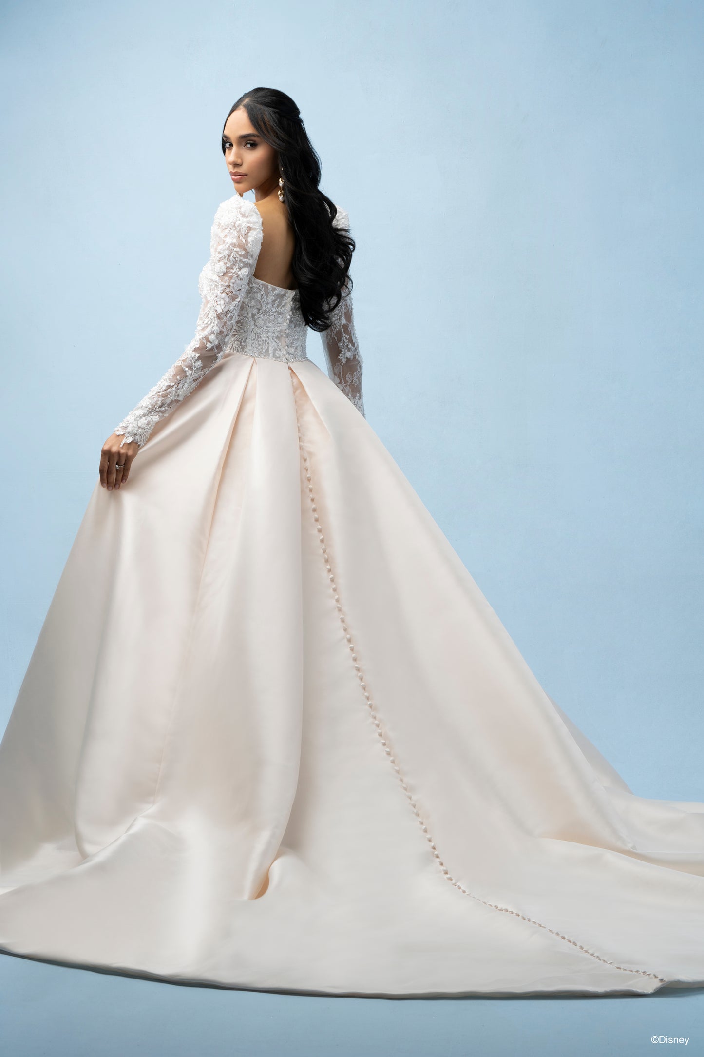 D442 - Belle