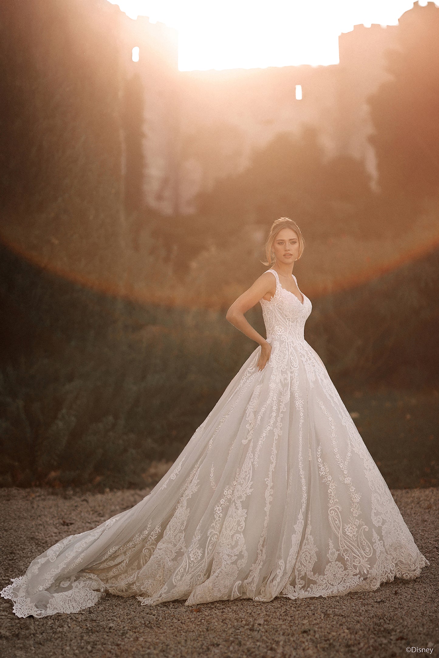 D443 - Cinderella