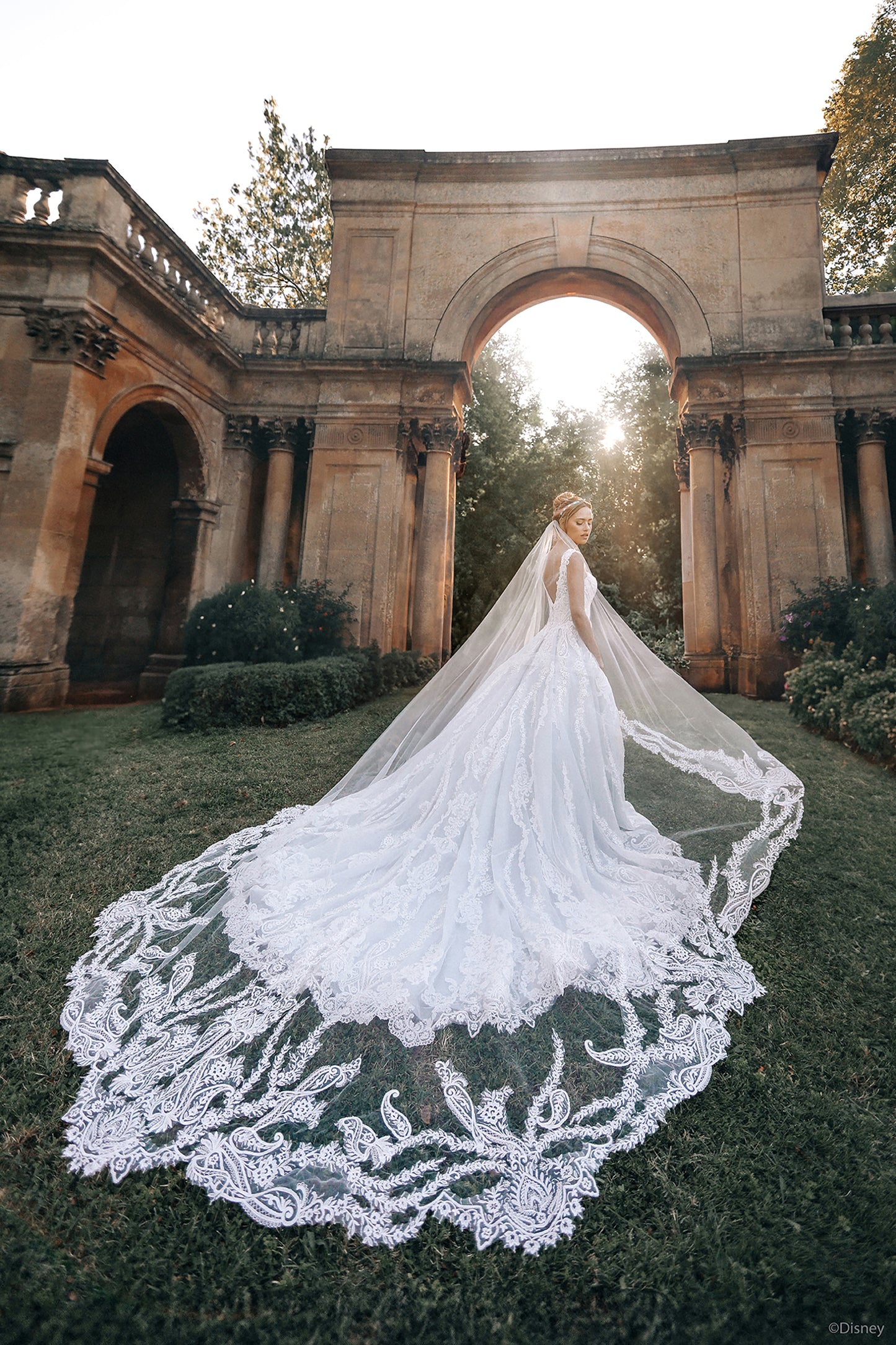 D443 - Cinderella