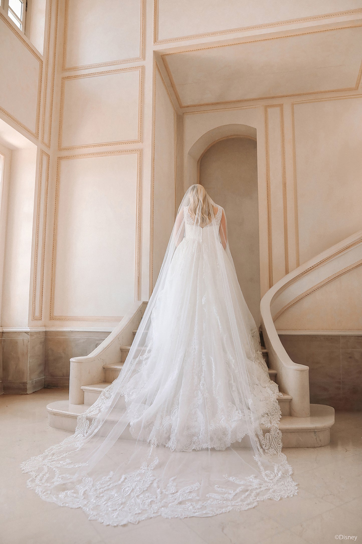 D443 - Cinderella