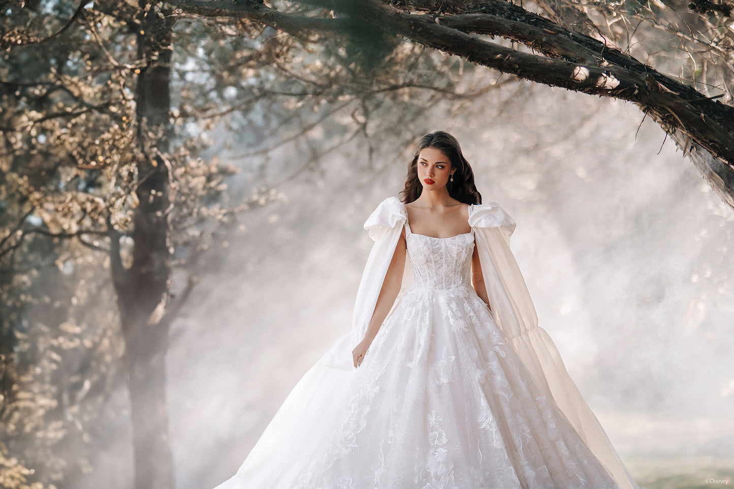 D447 - Snow White