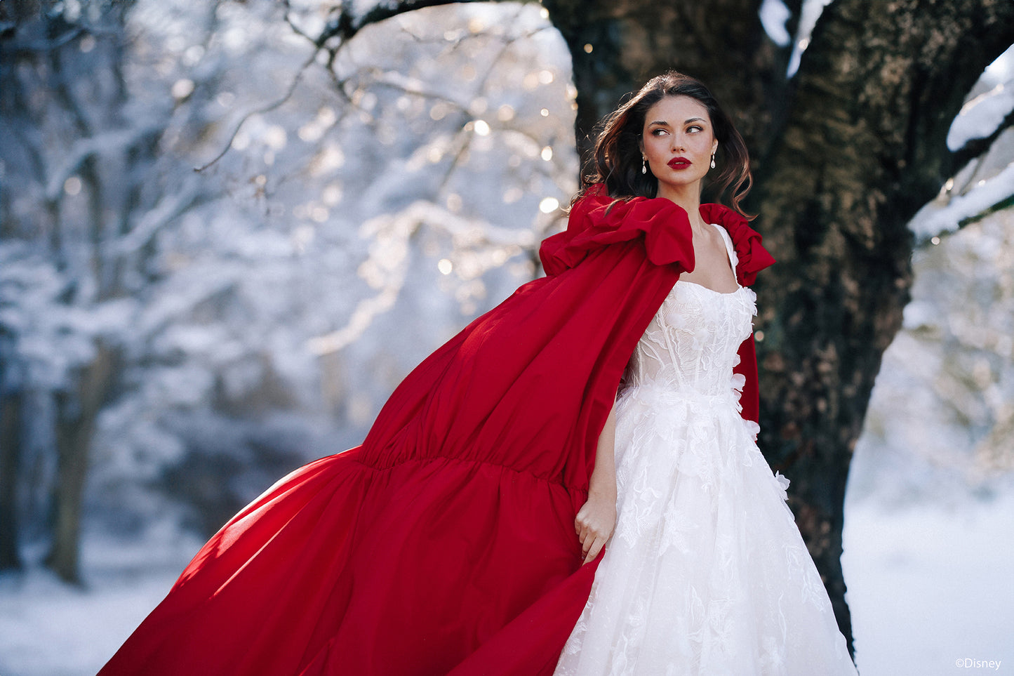 D447 - Snow White