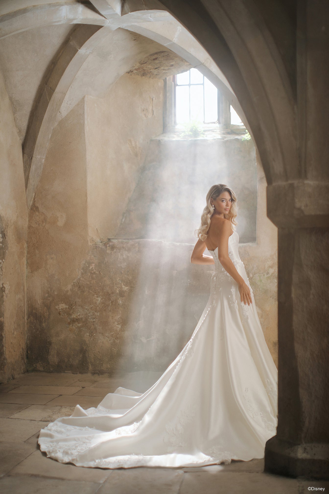 disney princess aurora wedding dress D461 - Aurora