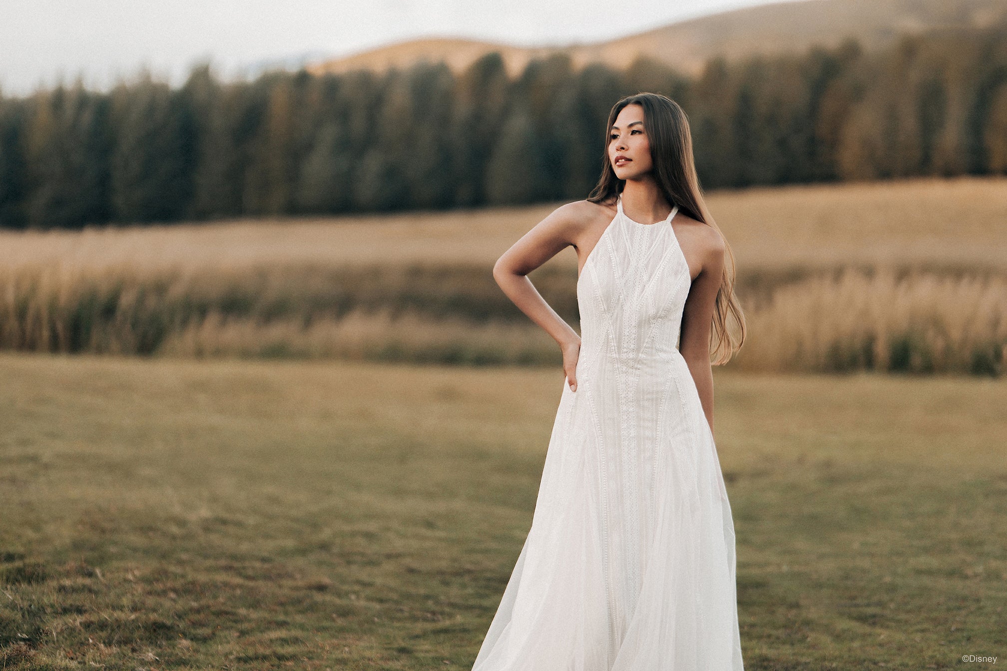 D465 - Pocahontas | Disney Princess Wedding Dresses – Allure Bridals