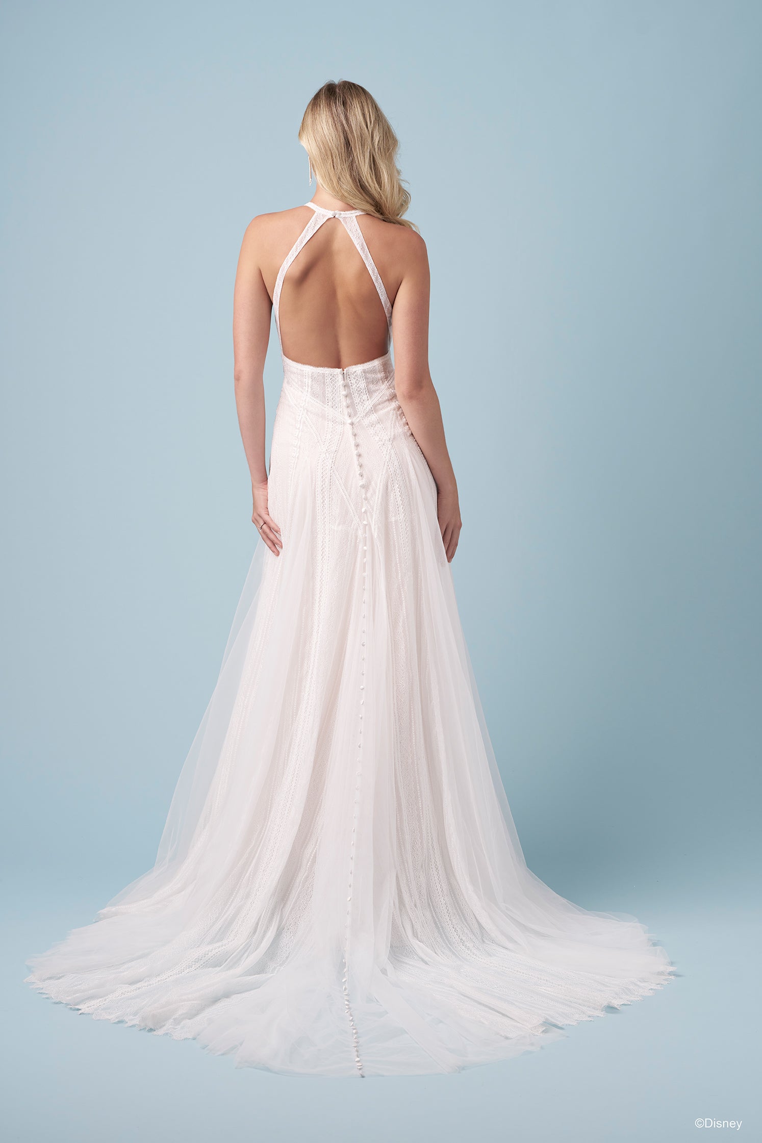 D465 - Pocahontas | Disney Princess Wedding Dresses – Allure Bridals
