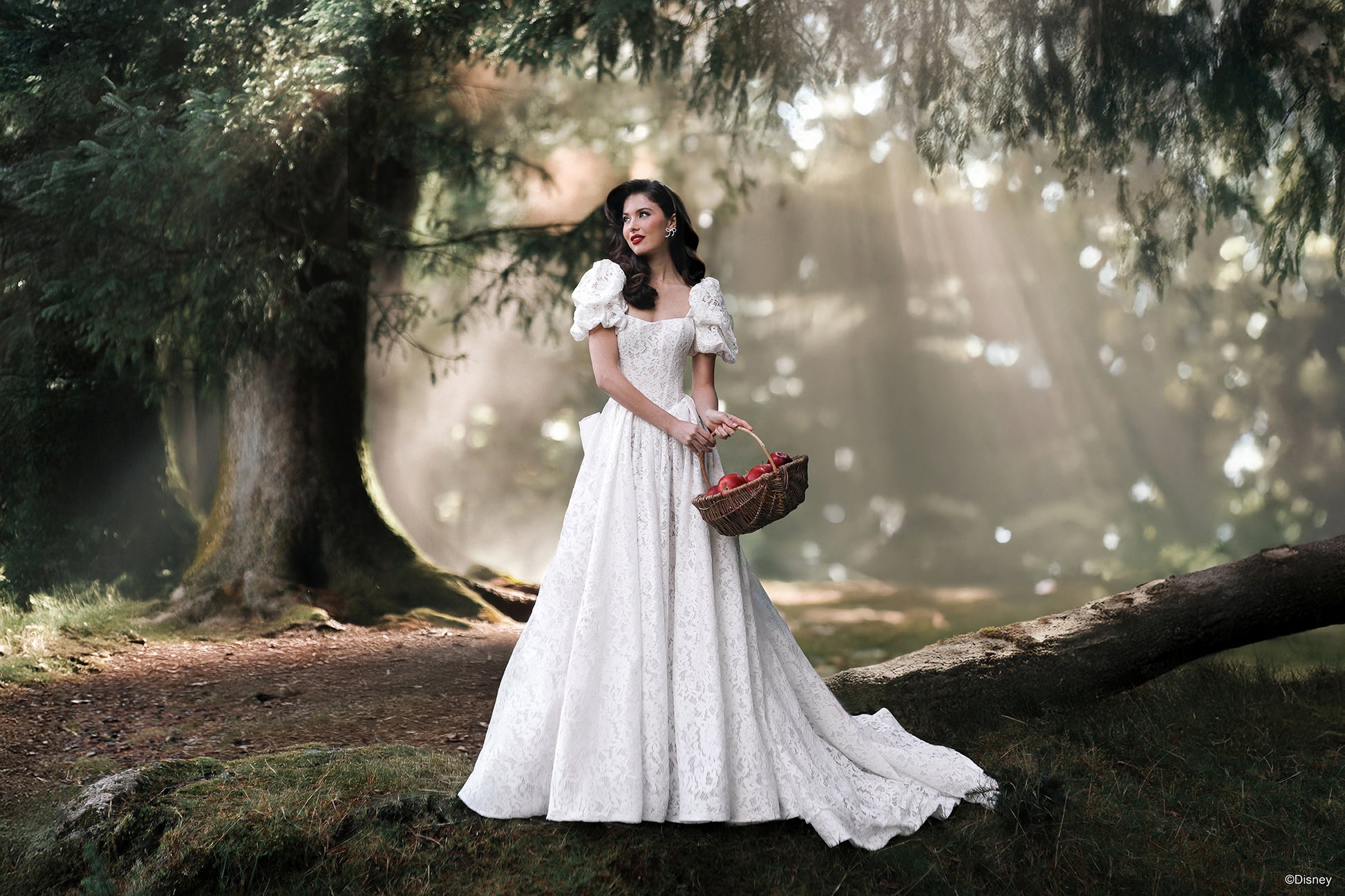 D467SL | Snow White Sleeves