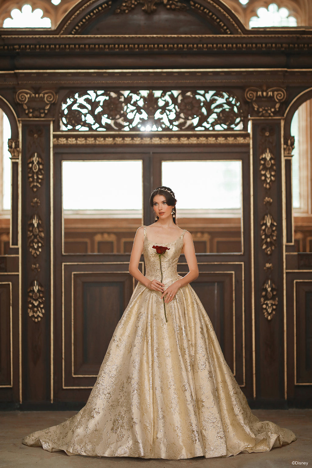 Ball Gown Modern Southern Belle Wedding Dresses Closed Wedding Dress Belle  WONA