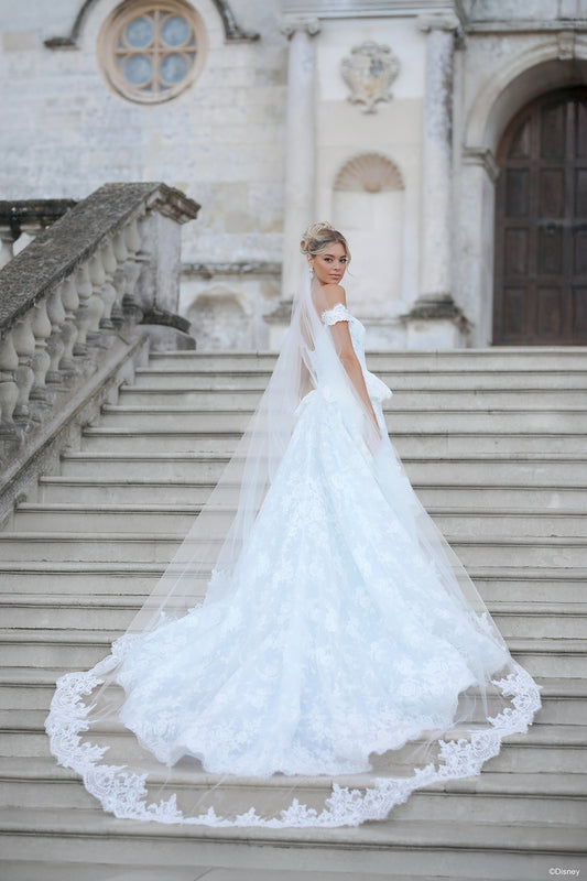 DV53 - Cinderella Veil