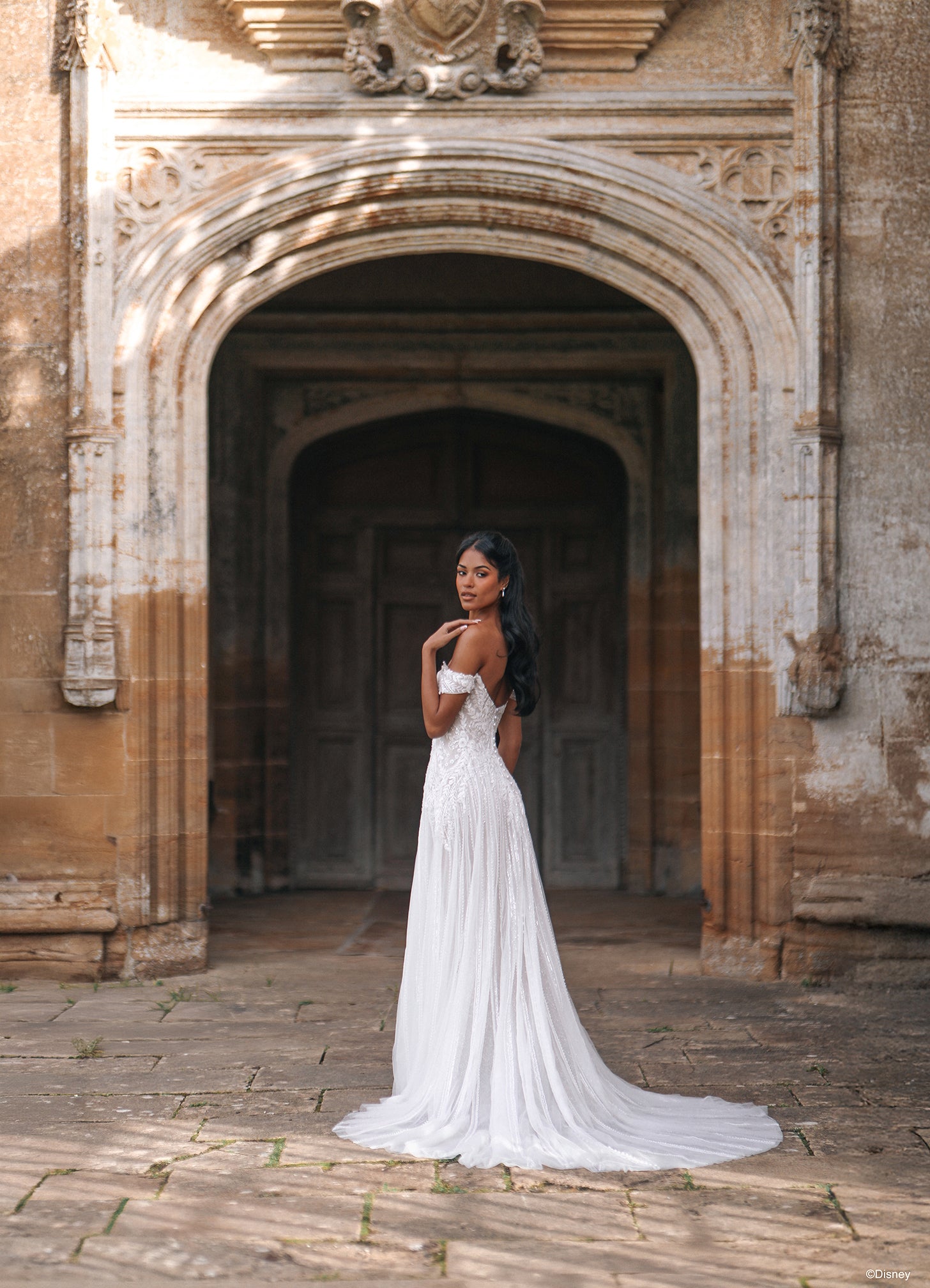 D474 - Jasmine | Disney Princess Wedding Dresses – Allure Bridals