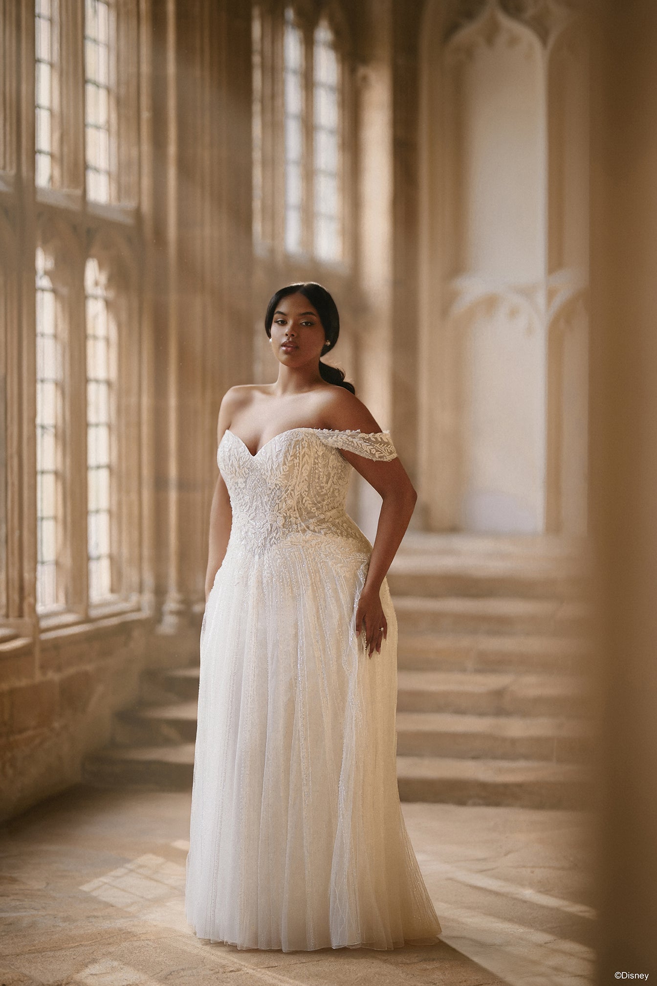 D474 - Jasmine | Disney Princess Wedding Dresses – Allure Bridals