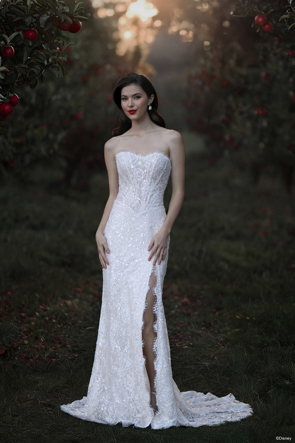 D477 - Snow White | Disney Princess Wedding Dresses  Allure Bridals