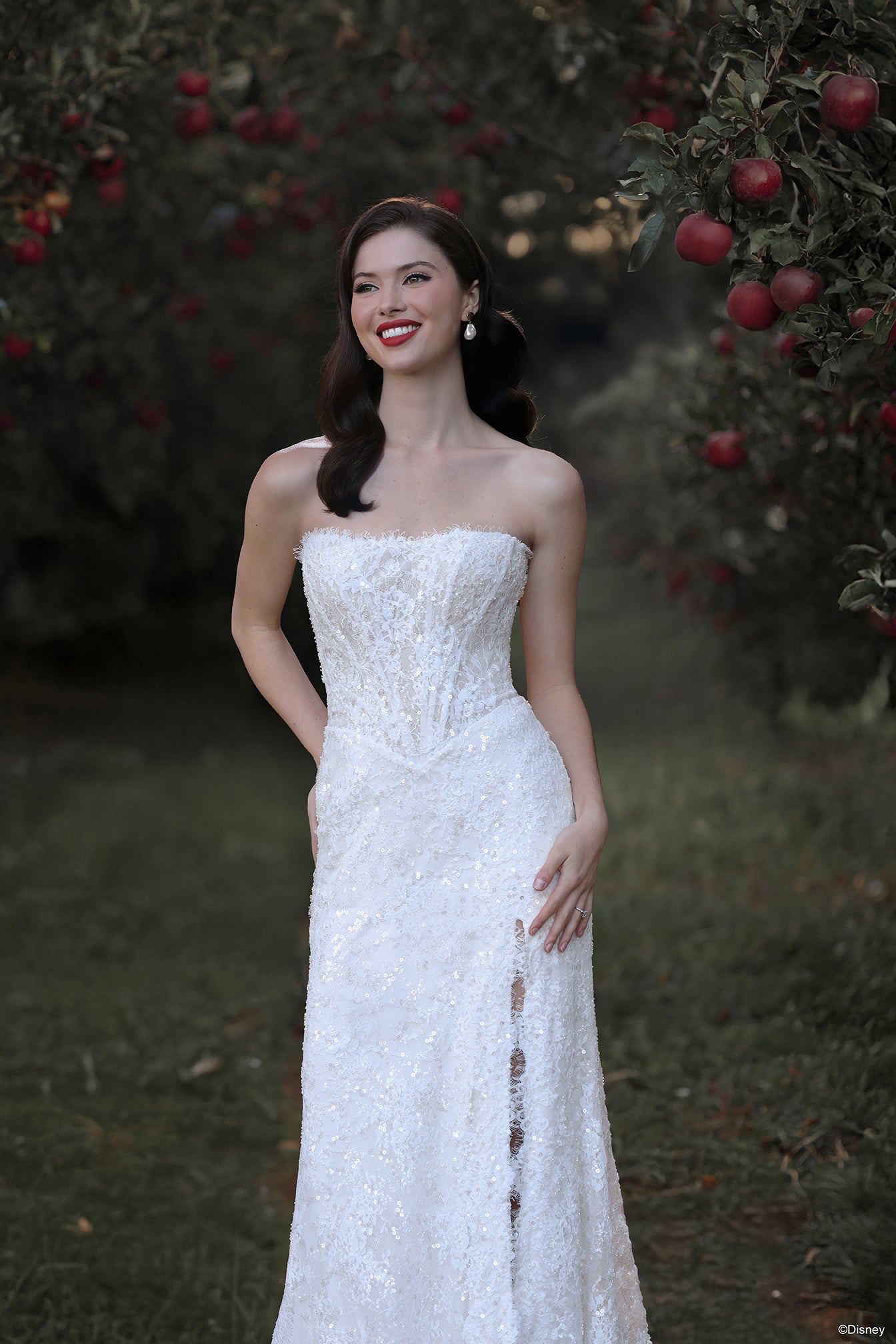D477 - Snow White | Disney Princess Wedding Dresses Allure Bridals D477 - Snow White | Disney Princess Wedding Dresses Allure Bridals