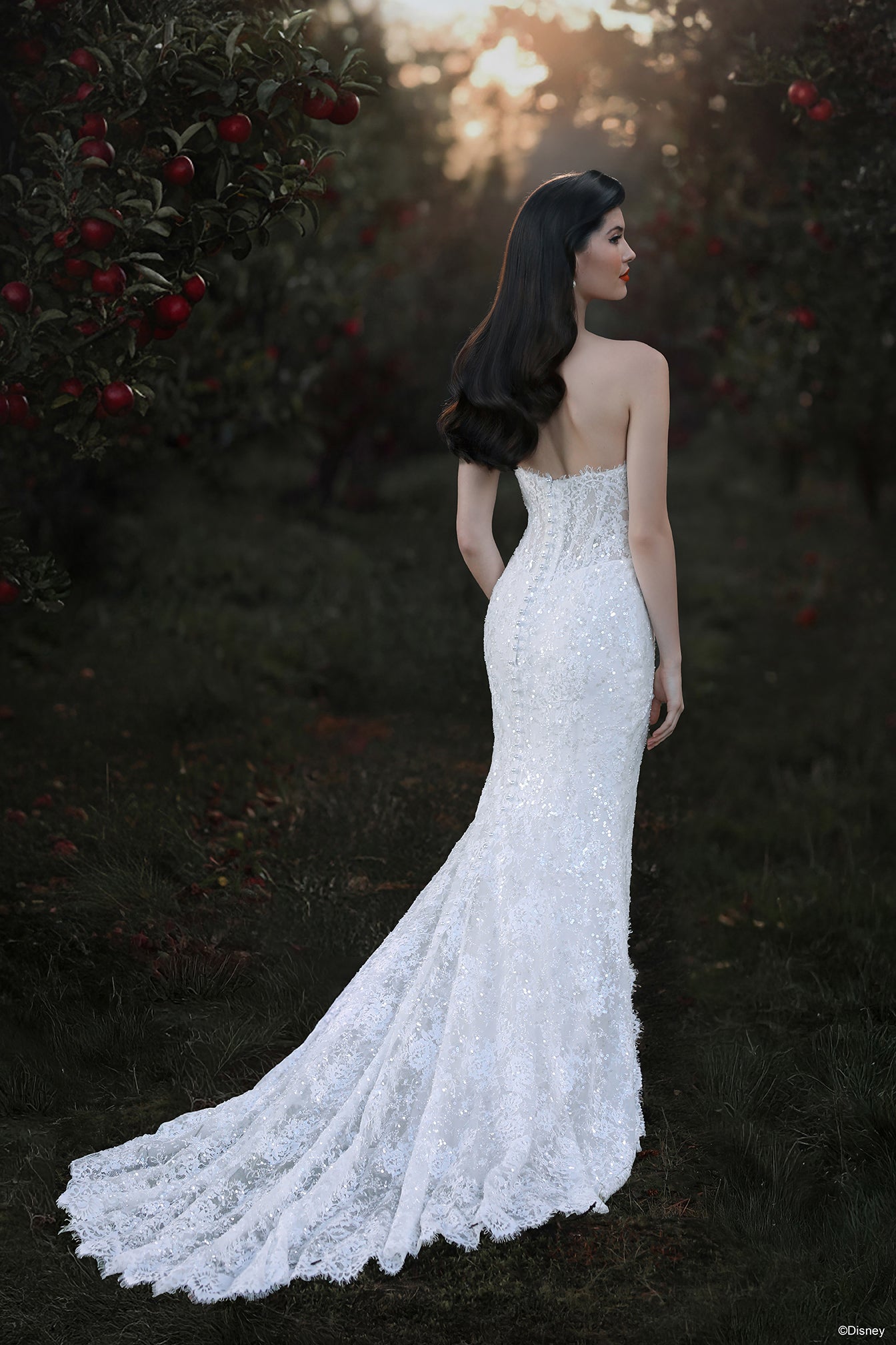 D477 - Snow White D477 - Snow White