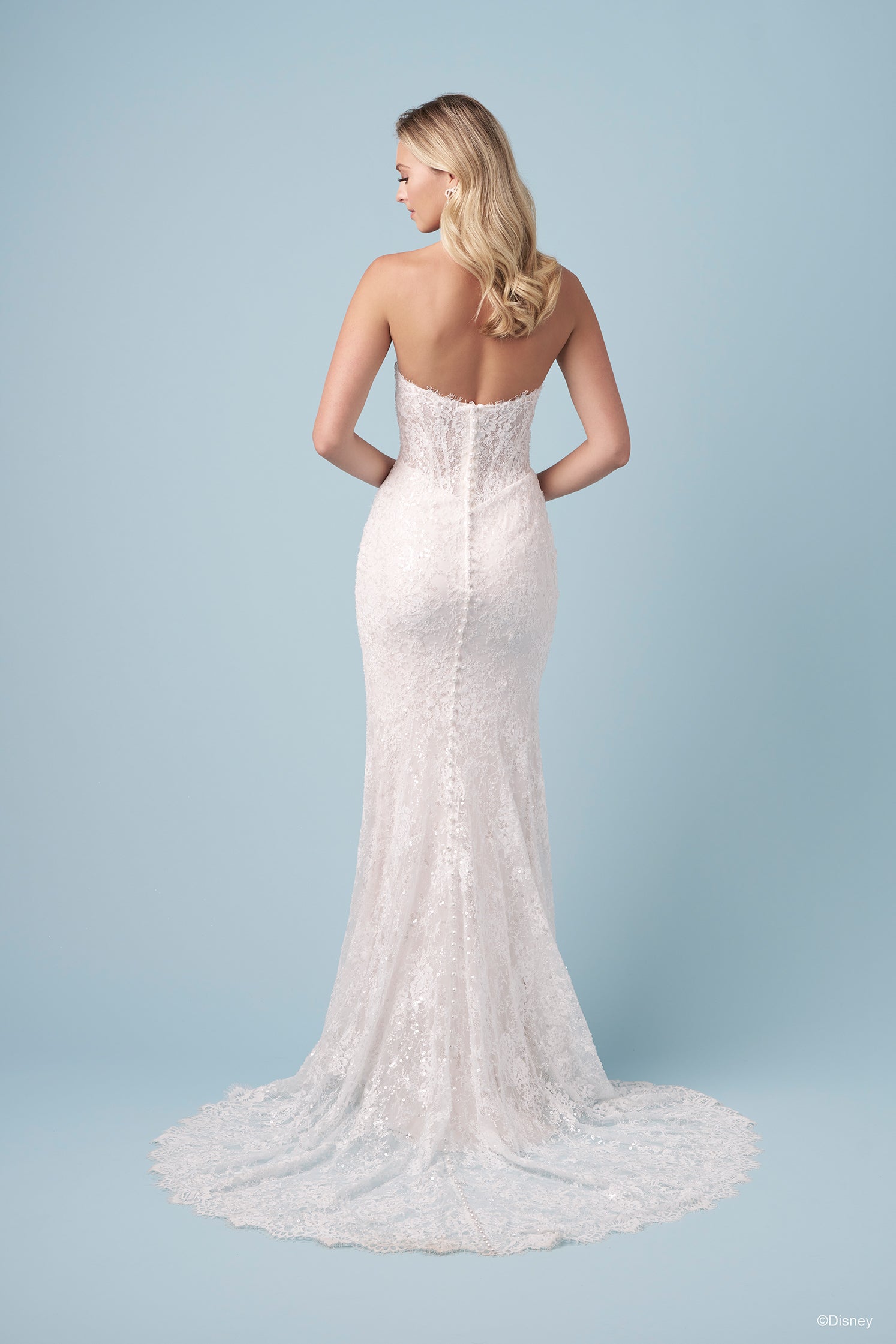 D477 - Snow White | Disney Princess Wedding Dresses – Allure Bridals