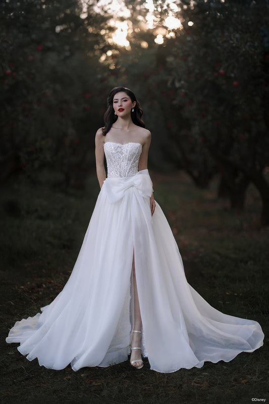 D477T - Snow White Train