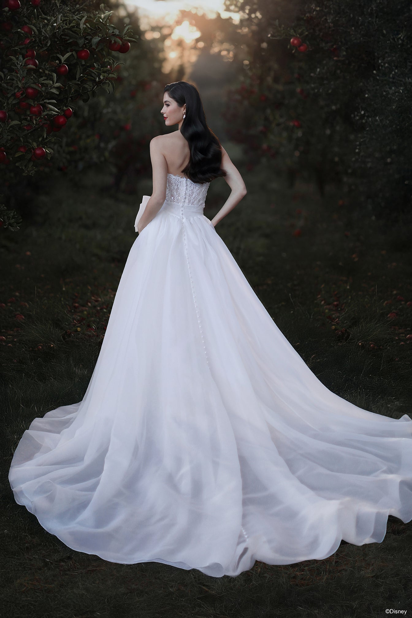 D477T - Snow White Train