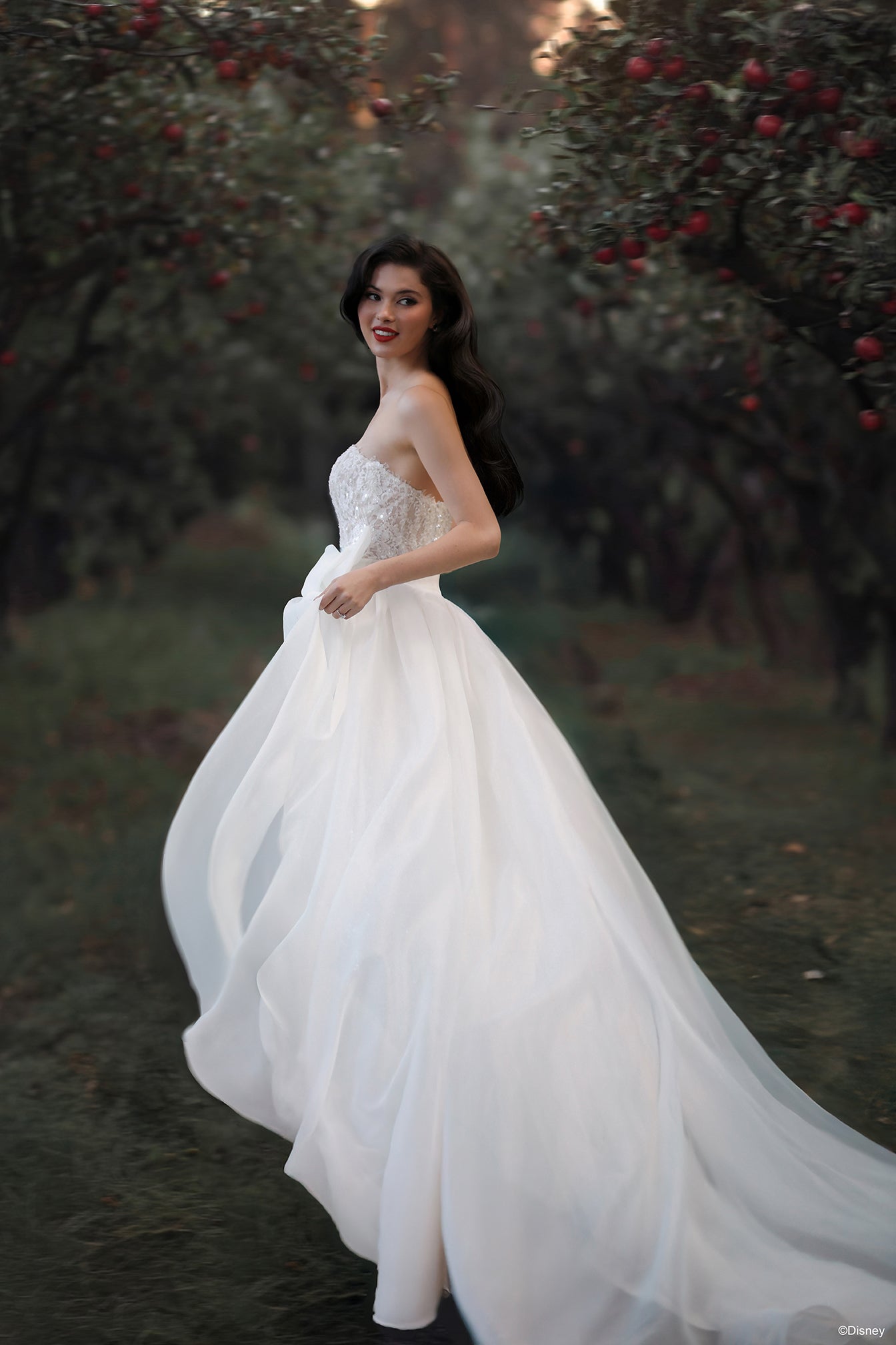 D477T - Snow White Train