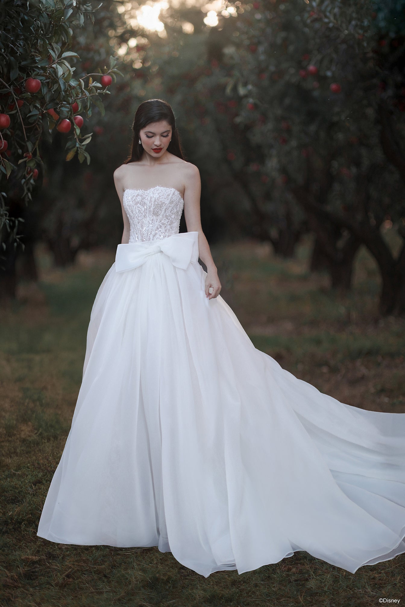 D477T | Snow White Train | Disney Princess Wedding Dresses Allure Bridals D477T | Snow White Train | Disney Princess Wedding Dresses Allure Bridals