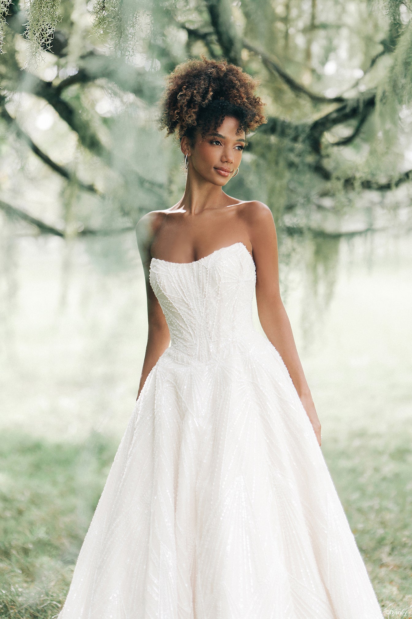 D478 - Tiana D478 - Tiana