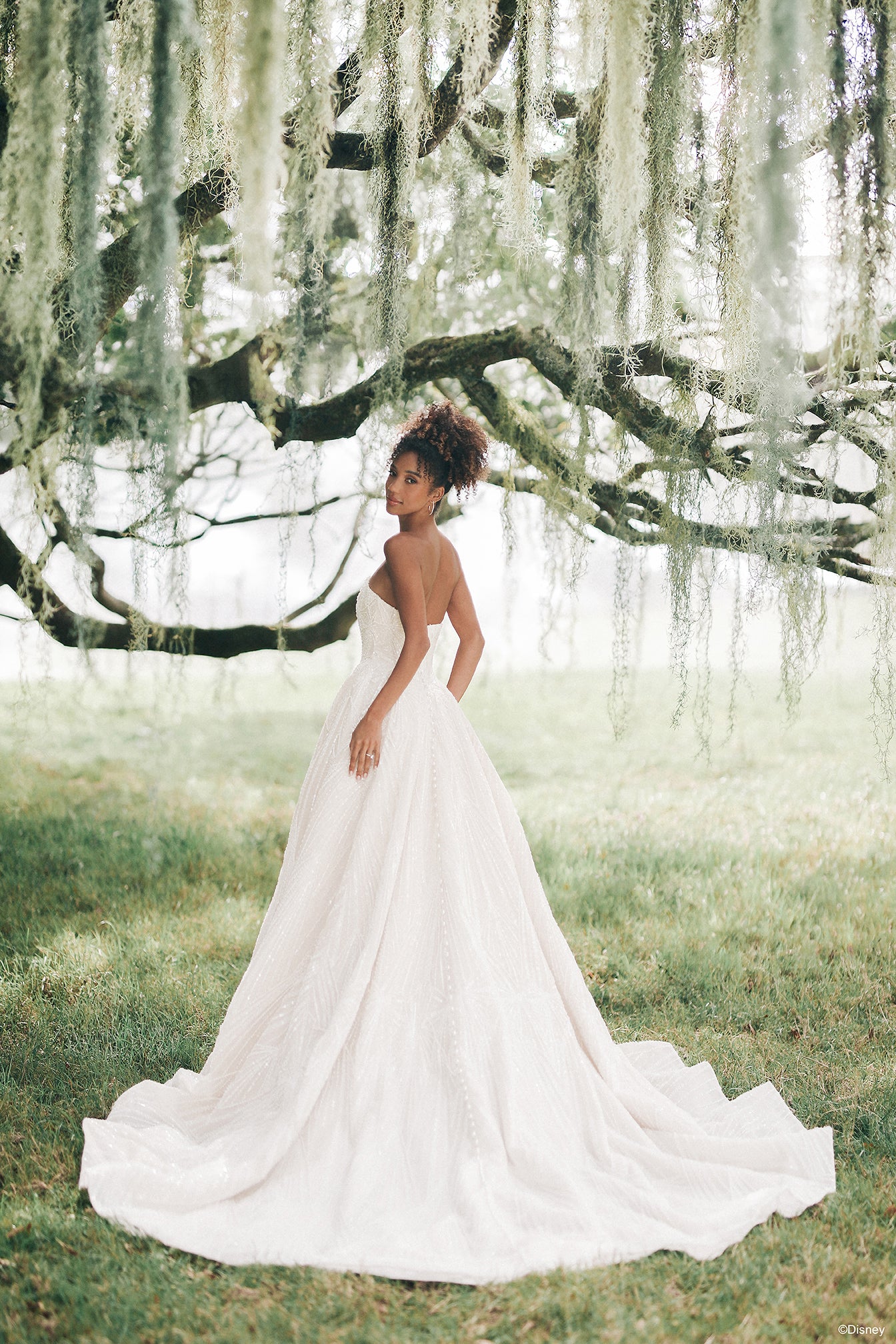 D478 - Tiana D478 - Tiana