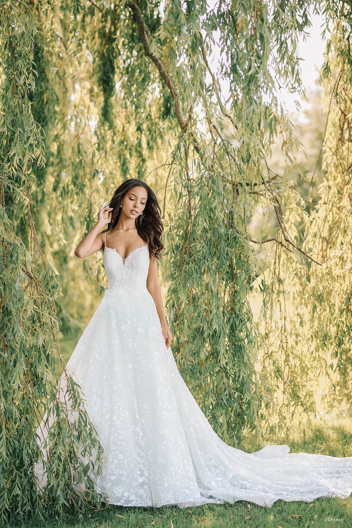 DP256 - Tiana
