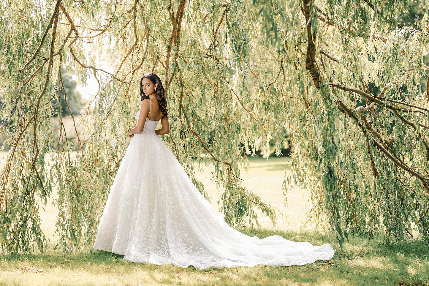 DP256 - Tiana