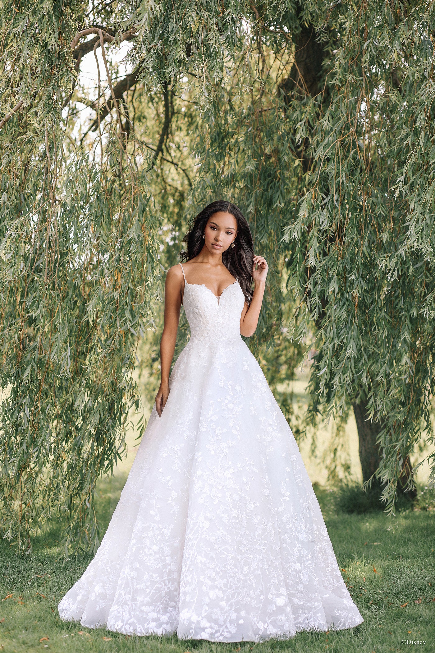 DP256 - Tiana