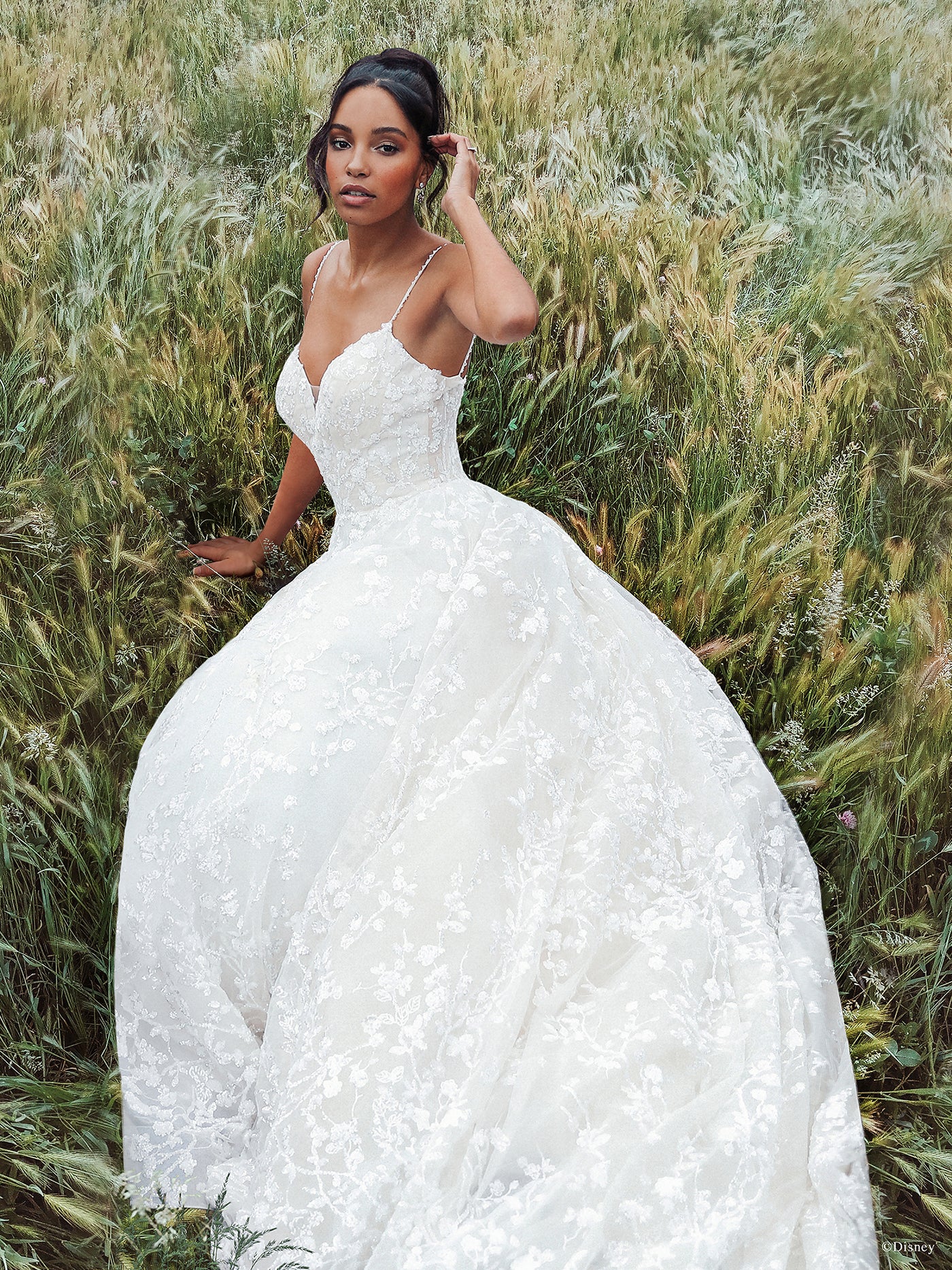 DP256 - Tiana