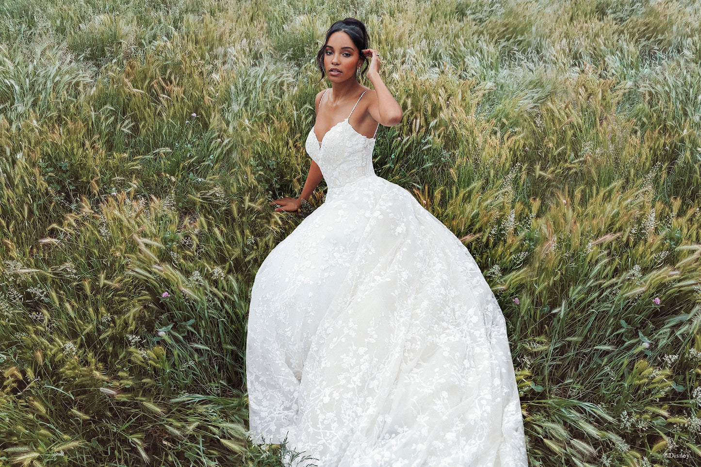 DP256 - Tiana