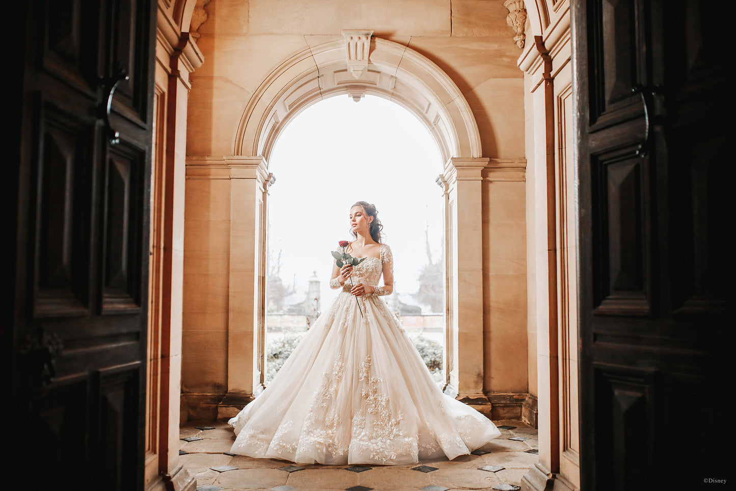 DP272 - Belle